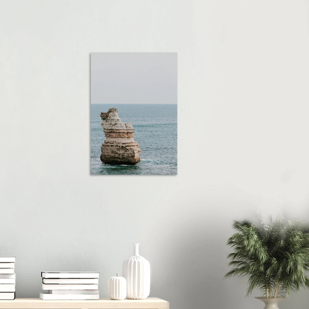 00d579e9-7871-438a-a283-5b67a91bff6b