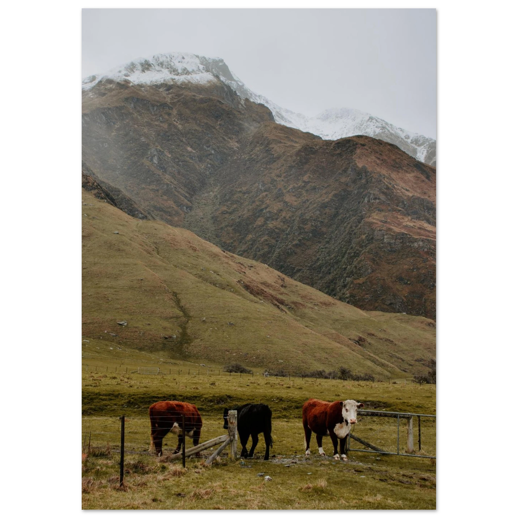 641c5c65-0b1a-4600-a428-eb1809641ec4