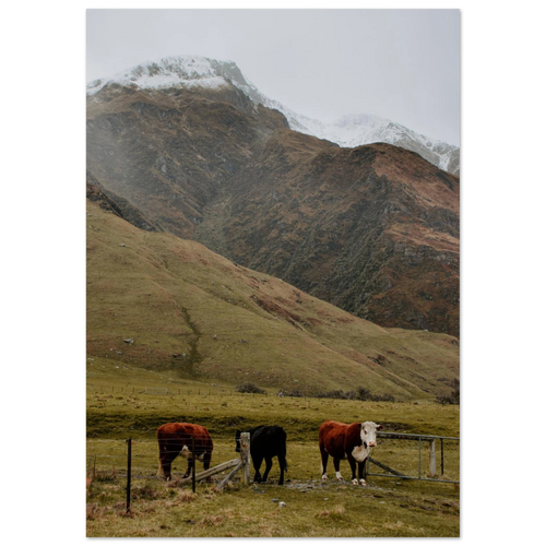 641c5c65-0b1a-4600-a428-eb1809641ec4