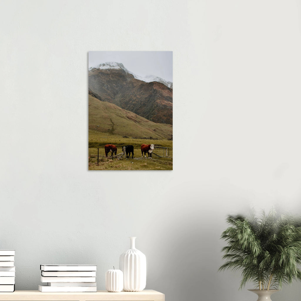 7d57fa05-02d1-4799-9327-14fbaedc0f05