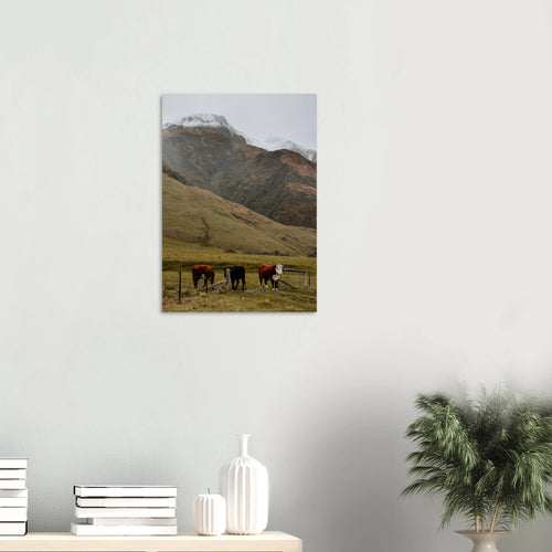 7d57fa05-02d1-4799-9327-14fbaedc0f05