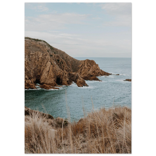 fc6ac782-50d6-4adc-9c4b-11a4a4ae821d